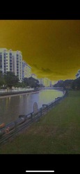 Blk 422 Pasir Ris Drive 6 (Pasir Ris), HDB Executive #505860981